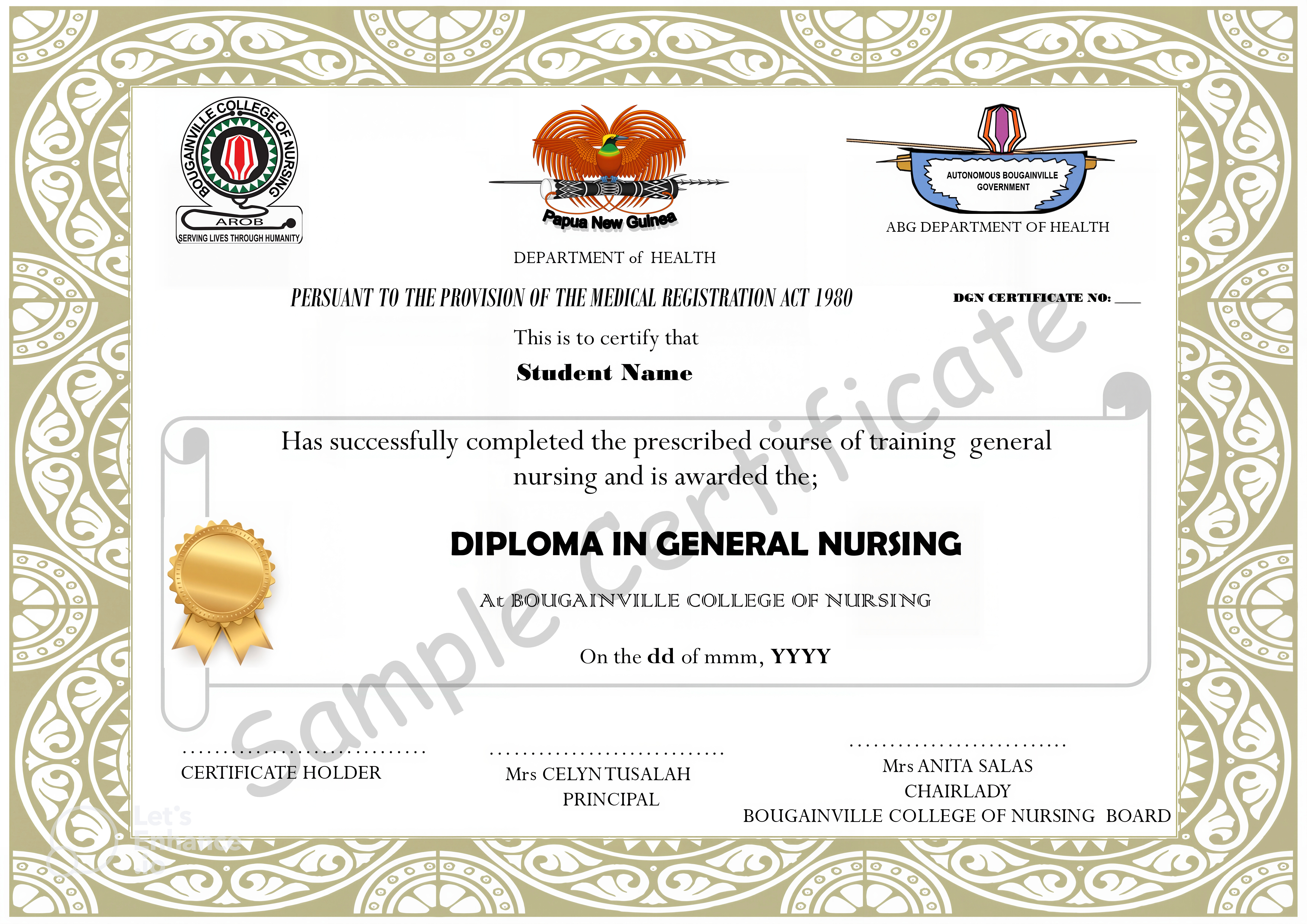 Diploma in General Nursing